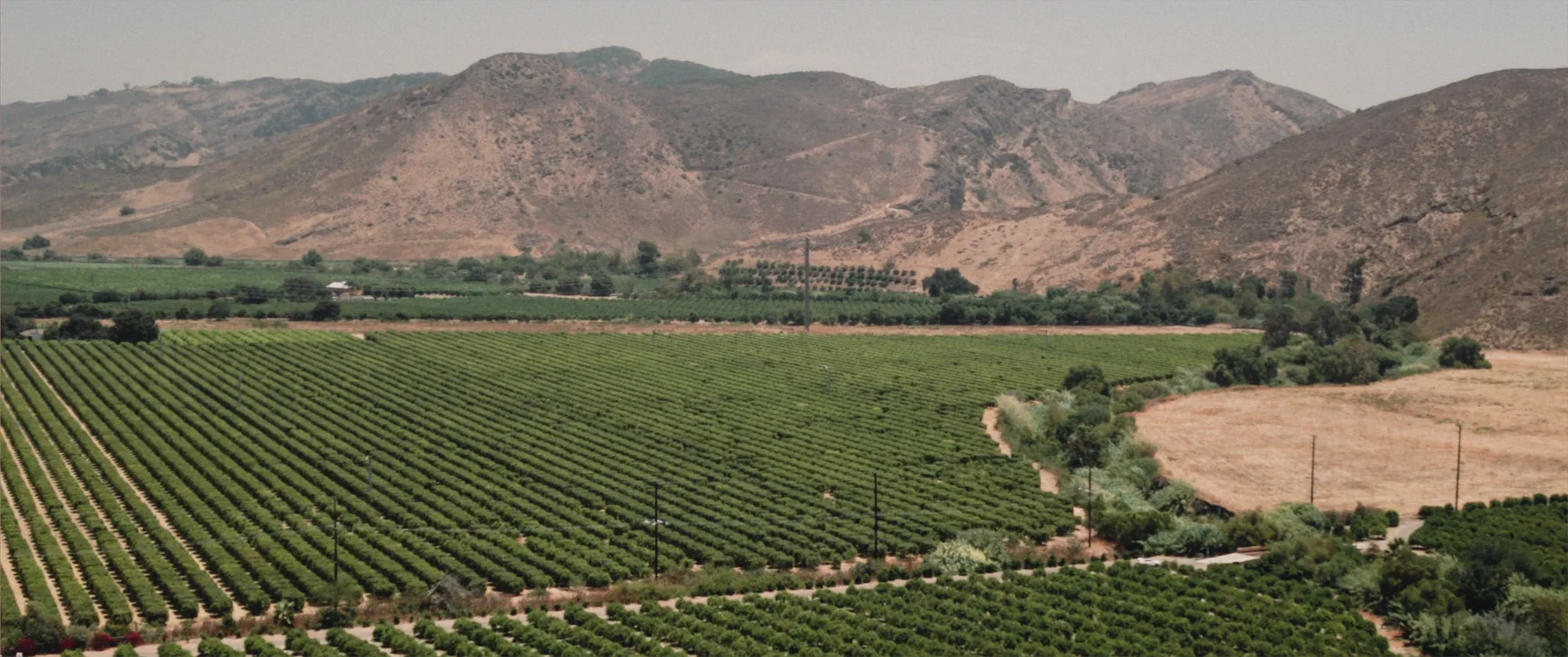 The Santa Rosa Valley from the Maravilla patio